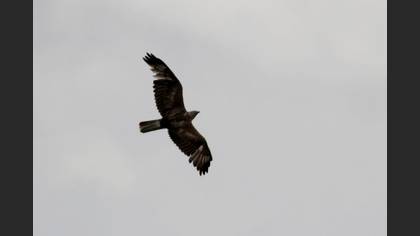 Undefined