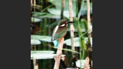 Undefined