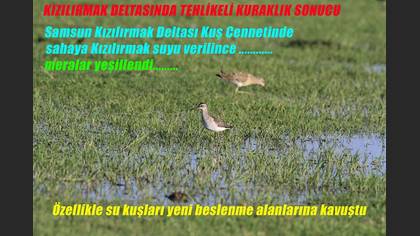 Undefined