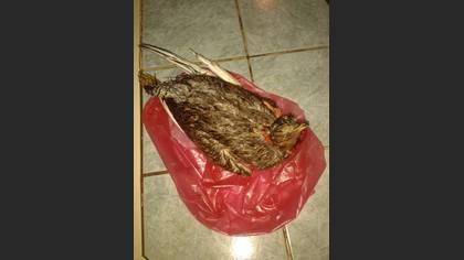 Undefined