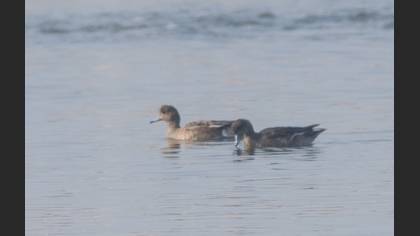 Undefined