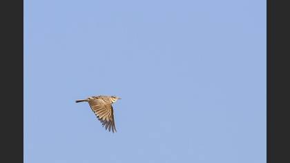 Undefined