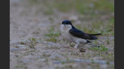 Undefined