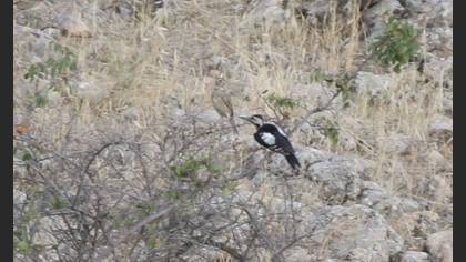 Undefined