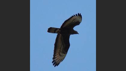 Undefined