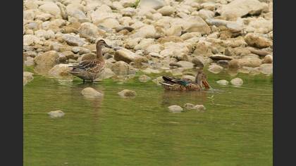 Undefined