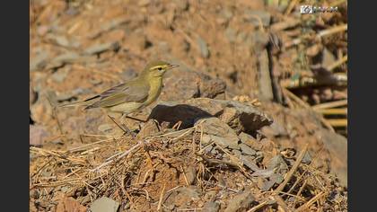 Undefined