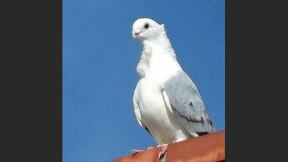 Tanımsız