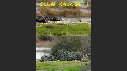 Tanımsız