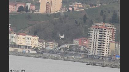 Karagagalı Sumru