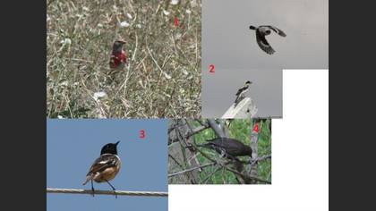 Undefined