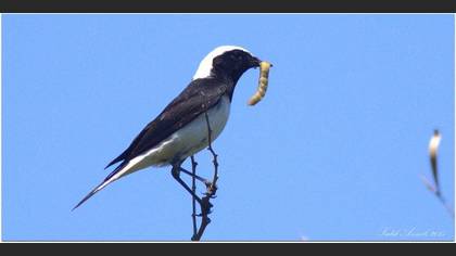 Undefined