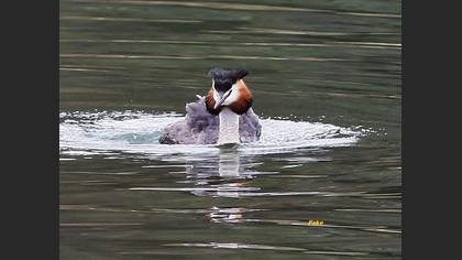 Undefined