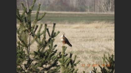 Undefined