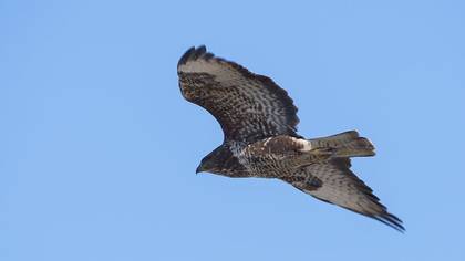 Undefined