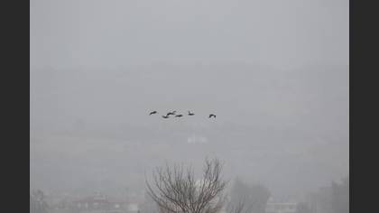 Angıt