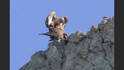 Tanımsız