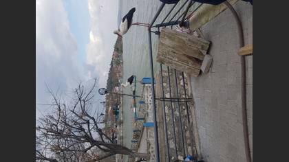 Tanımsız