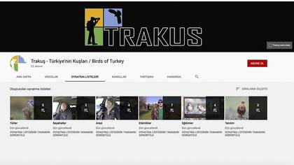 Tanımsız