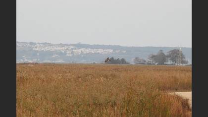 Tanımsız