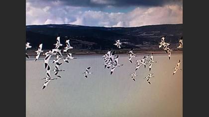 Tanımsız