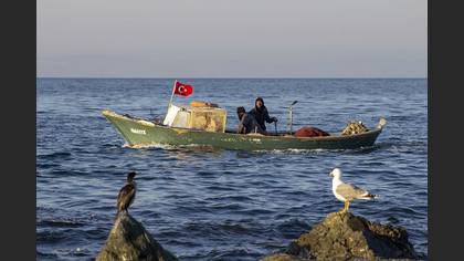 Tanımsız