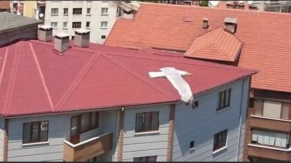 Tanımsız