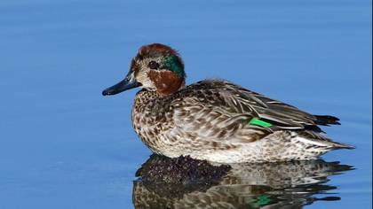 Tanımsız