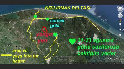 Tanımsız