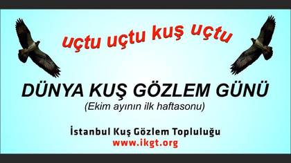 Tanımsız