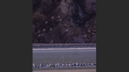Tanımsız