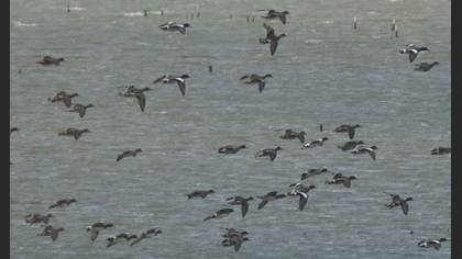 Undefined