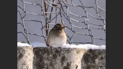 Undefined