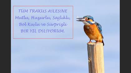 Undefined