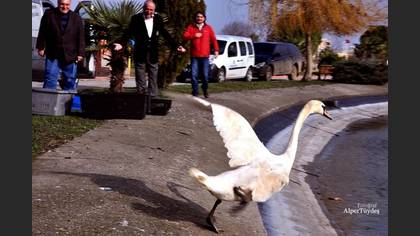 Undefined