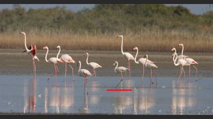 Undefined