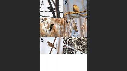 Undefined