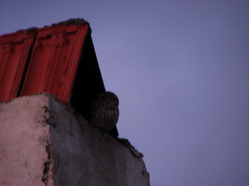 Tanımsız