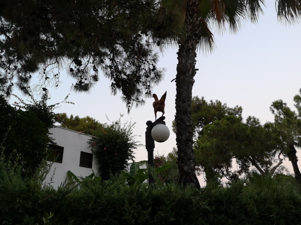 Tanımsız