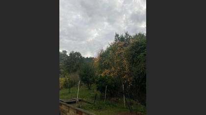 Gözlem