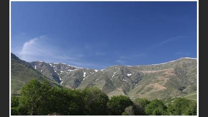 Gözlem