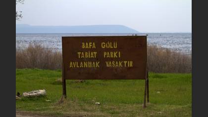 Gözlem
