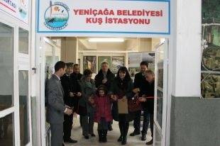 Bolu