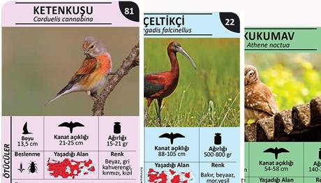 Bir kusur..