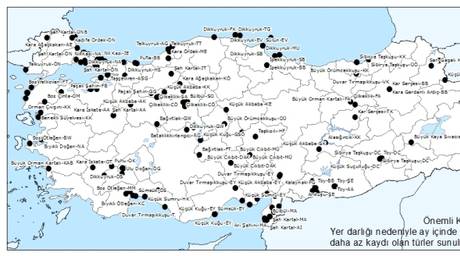 Örnek haber adı gelecek.