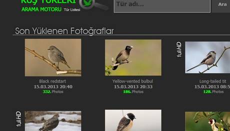 Örnek haber adı gelecek.