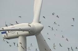 Türkiye de rüzgarın hızı ve çevre
