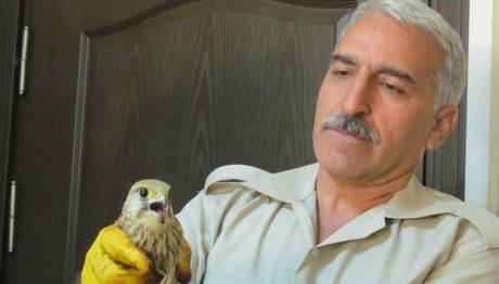 İSRAİLDEN HALKALI KERKENEZ