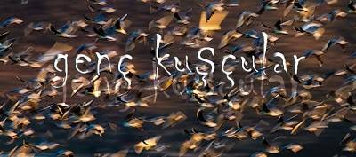 TRAKUSUN GENÇ KUŞCULARI