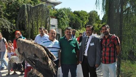 Akbabaları farkedin günü!